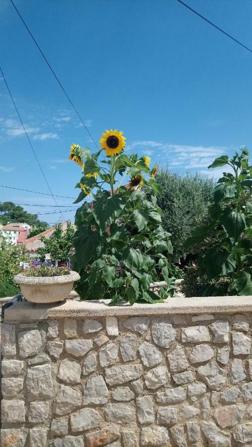 Apartmani Antonio Veli Lošinj Exterior foto
