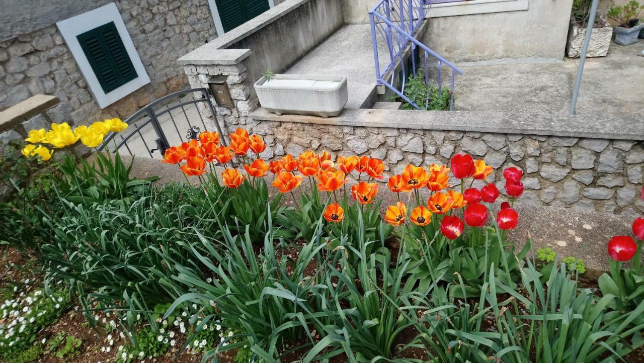 Apartmani Antonio Veli Lošinj Exterior foto